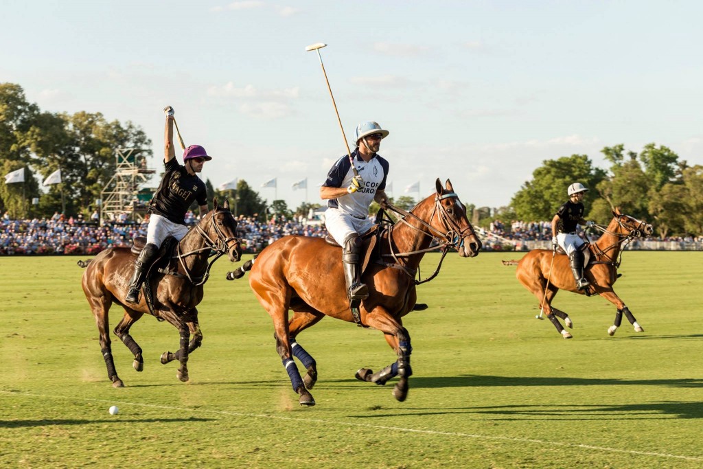 La Dolfina se impuso frente a Ellerstina